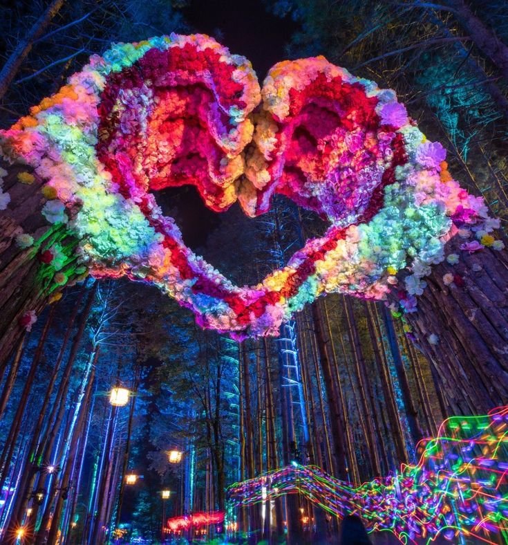 The Electric Forest: Where Nature Meets Innovation