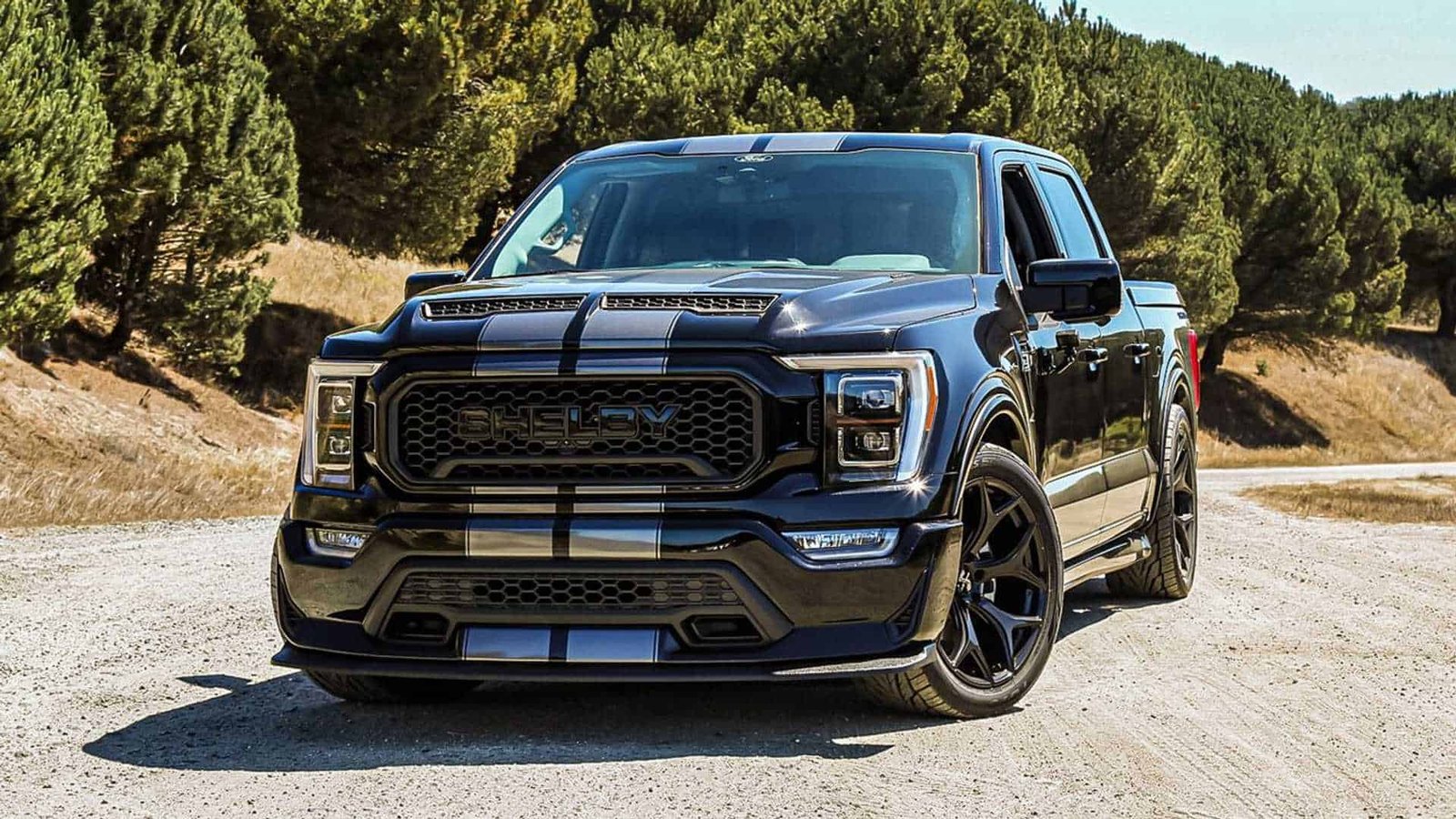 Ford Shelby Truck: Exploring the Power and Elegance